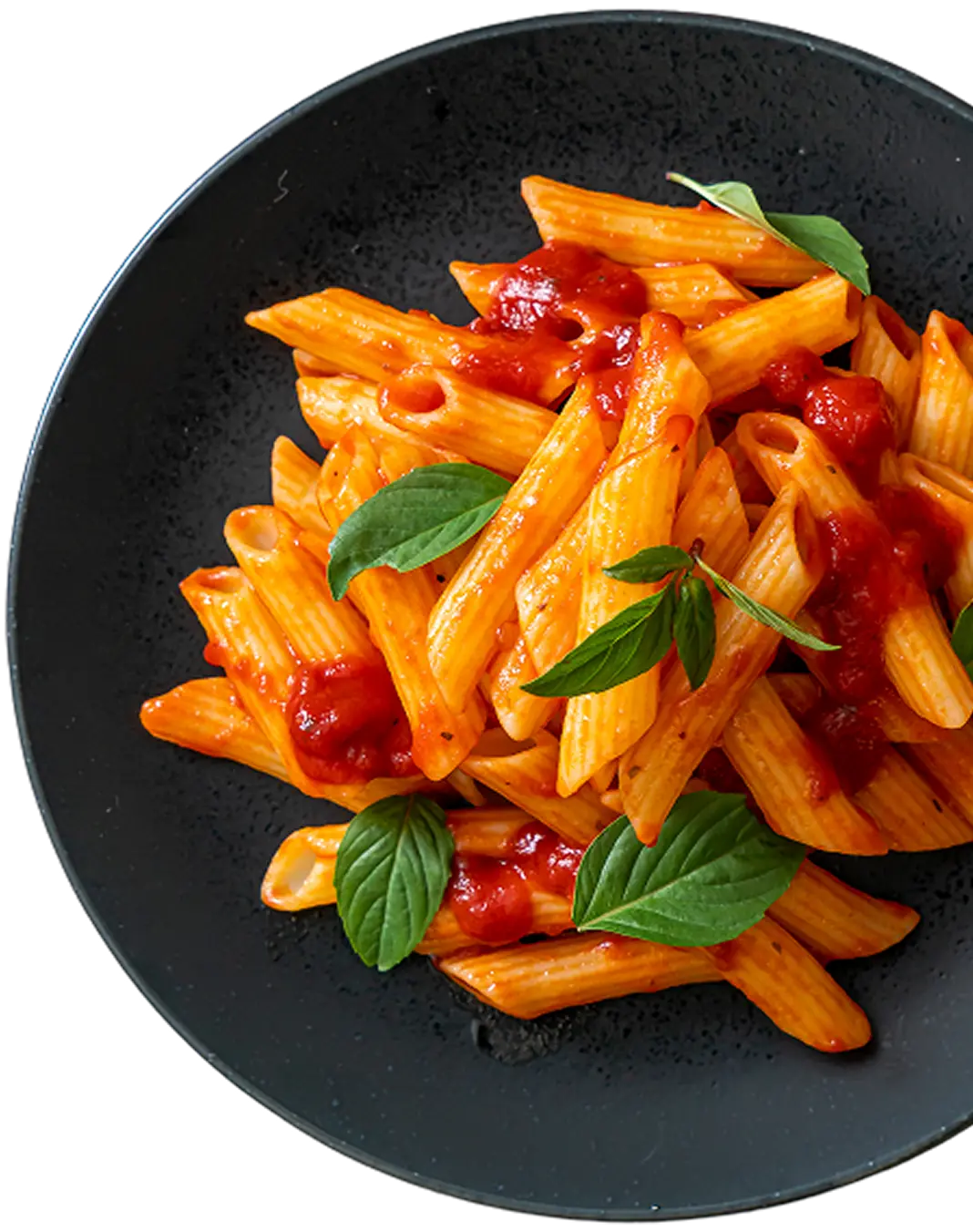 Penne in tomato sauce finished with fresh basil